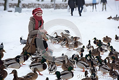 Feeding the ducks left for the winter at the creek Editorial Stock Photo