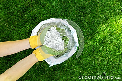 Feeding lawn with granular fertilizer for perfect green grass Stock Photo