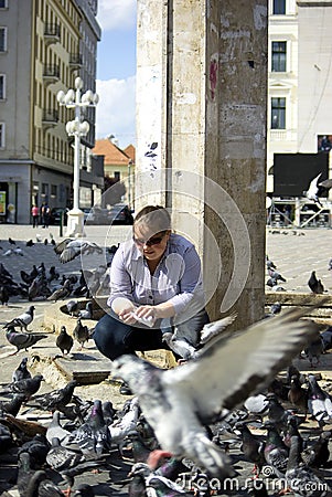 Feeding Pigeons Stock Photo