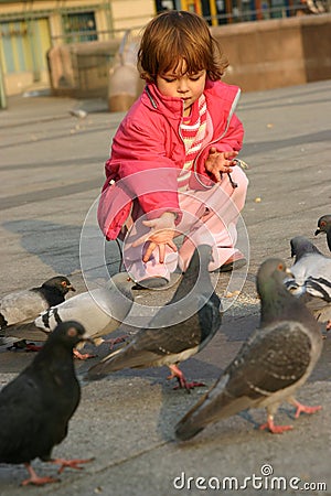 Feeding pigeons Stock Photo