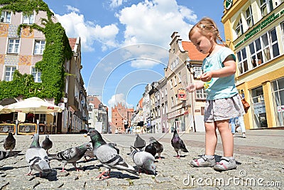 Feeding pigeons Editorial Stock Photo