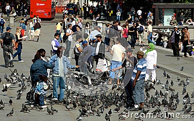 Feeding pigeons in London Editorial Stock Photo