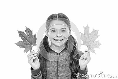 Feelings of comfort and nostalgia we experience in autumn are hard to express. Kid girl hold fallen maple leaves. Happy Stock Photo