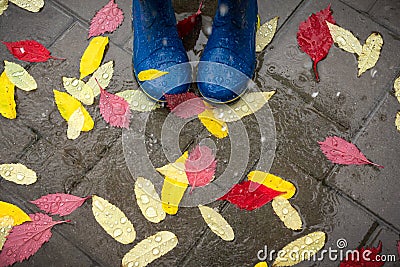 Feet in blue rubber boots standing in a wet concrete paving Stock Photo