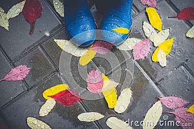 Feet in blue rubber boots standing in a wet concrete paving Stock Photo