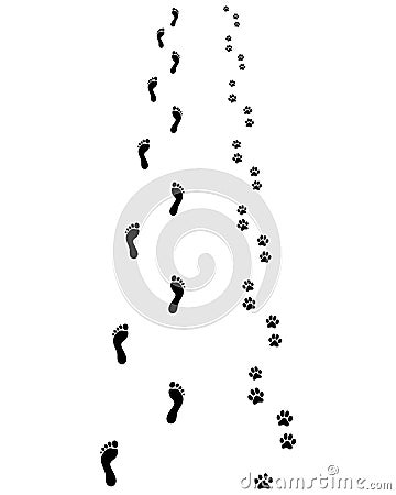 Feet and dog paws Stock Photo