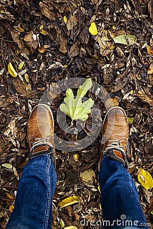 Feet in fallen leaves Stock Photo