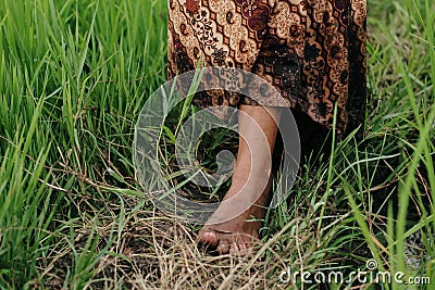 feet on the field Stock Photo