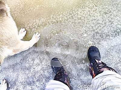 Feet of Hunter or fisherman in big warm boots And paws of dog on snow. Top view. Fisherman on ice of river, lake Stock Photo