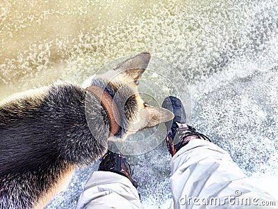 Feet of Hunter or fisherman in big warm boots And paws of dog on snow. Top view. Fisherman on ice of river, lake Stock Photo