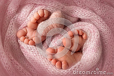 Feet of newborn twins. Two pairs of baby feet in a pink knitted blanket. Stock Photo