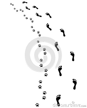 Feet and paws Stock Photo