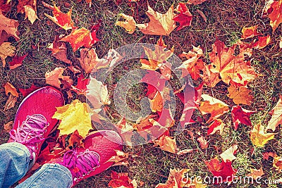Feet in sneakers standing on colorful leaves in autumn park Stock Photo