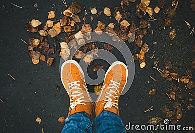 Feet sneakers walking on fall leaves Outdoor Stock Photo