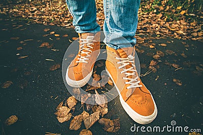 Feet sneakers walking on fall leaves Outdoor Stock Photo