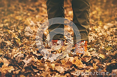 Feet sneakers walking on fall leaves Outdoor Stock Photo