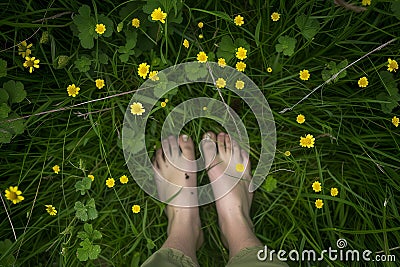 feet standing in a meadow surrounded by buttercups Stock Photo