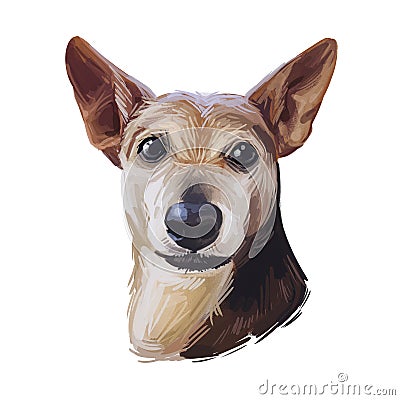 Feist dog isolated digital art illustration. Hand drawn portrait of mall hunting dog, Smooth Fox Terrier, Manchester English White Cartoon Illustration