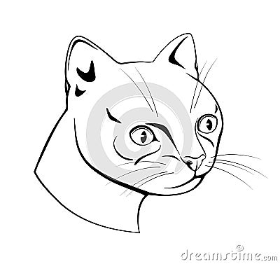 Feline head, black and white dash drawing Stock Photo