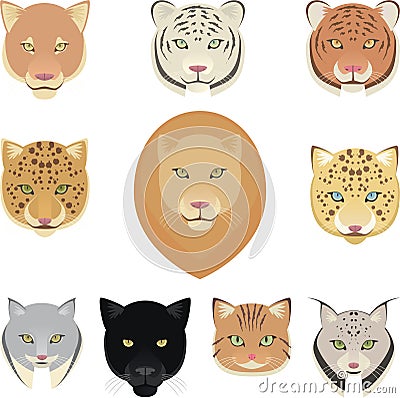 Felines leopard panther lion tiger cougar jaguar heads collection Cartoon Illustration