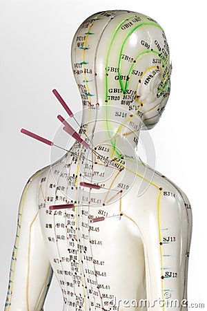 Acupuncture model Stock Photo