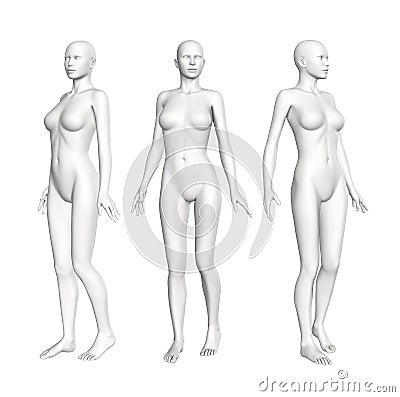 Female Anatomy Figure Stock Photo