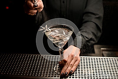 Bartender spraying cocktail with branch of white leaves Stock Photo