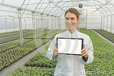 Female Biotechnology engineer tablet greenhouse. Plant seedlings Stock Photo