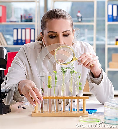 Female biotechnology scientist chemist working in the lab Stock Photo