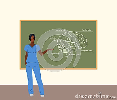 Female doctor teacher vector Stock Photo