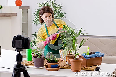 The female blogger explaining houseplants growing Stock Photo
