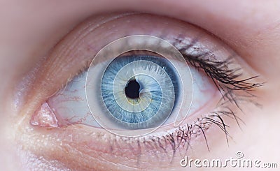 Female blue eye Stock Photo