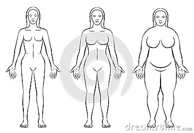 Female Body Constitution Types Thin Fat Normal Weight Vector Illustration