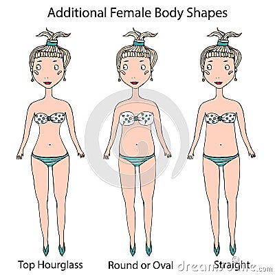 Female Body Shape Types. Top Hourglass, Round or Oval and Straight . Realistic Hand Drawn Doodle Style Sketch. Vector Vector Illustration