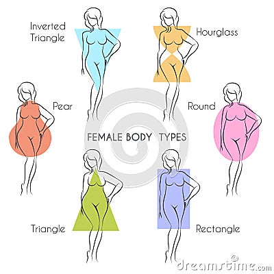 Female Body Types Stock Photo