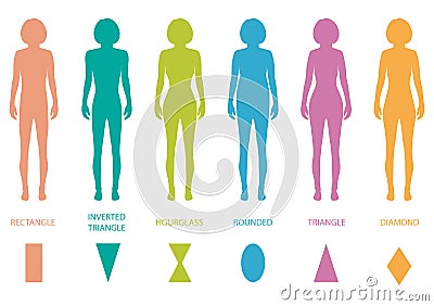 female body types Vector Illustration