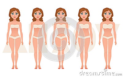 Female body types of figures Cartoon Illustration