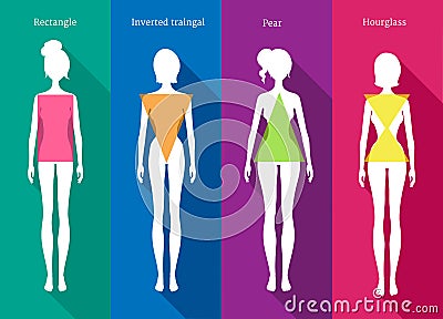 Female body types Vector Illustration