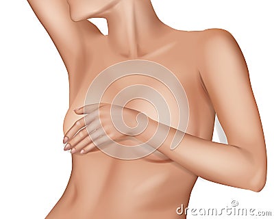 Female Breast. Detailed realistic illustration Vector Illustration