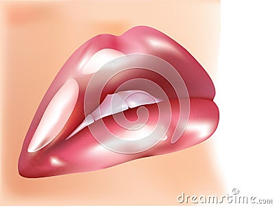 Female claret lips with shiny gloss Vector Illustration