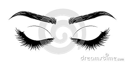 Closed eye with long eyelashes and brows Vector Illustration