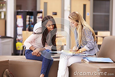 Female College Student Working With Mentor Stock Photo