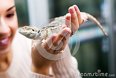 Female customer watching brown gecko Stock Photo