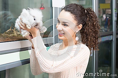 Female customer watching fluffy chinchilla in petshop Stock Photo