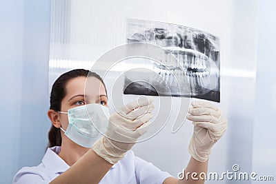 Female dentist looking at dental xray Stock Photo