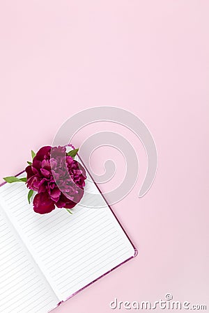 Female desktop, peony flower on open notepad, on pastel pink background. Concept business, work from home, freelance, creative Stock Photo