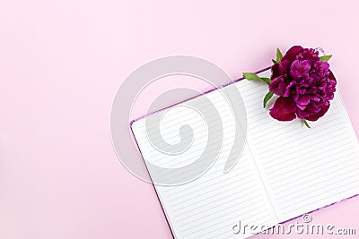 Female desktop, peony flower on open notepad, on pastel pink background. Concept business, work from home, freelance, creative Stock Photo