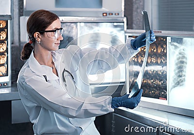 Female doctor check film x-ray image for patient medical care. Surgeon woman examining x-ray film of human body part then Stock Photo