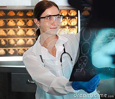 Female doctor check film x-ray image for patient medical care. Surgeon woman examining x-ray film of human body part then Stock Photo