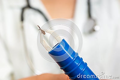 Female doctor is holding tweezers with a tick Stock Photo